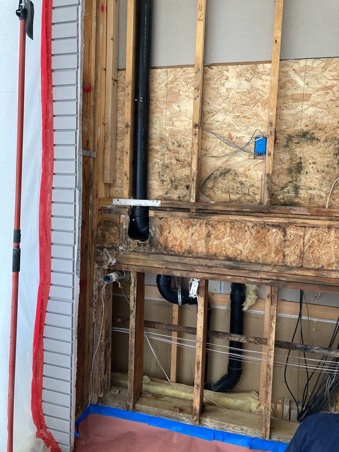 Mold Remediation using Containment by Accountable Home Services