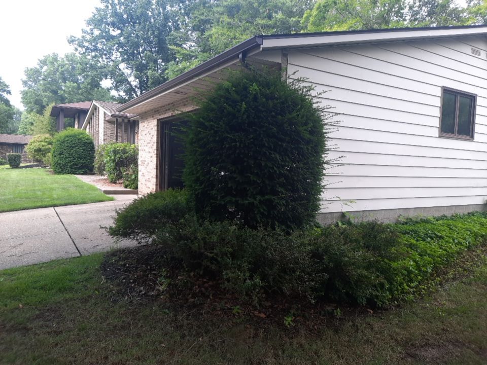 Tree Removal using Tree Removal by Mike Jones & Sons Tree Service LLC 