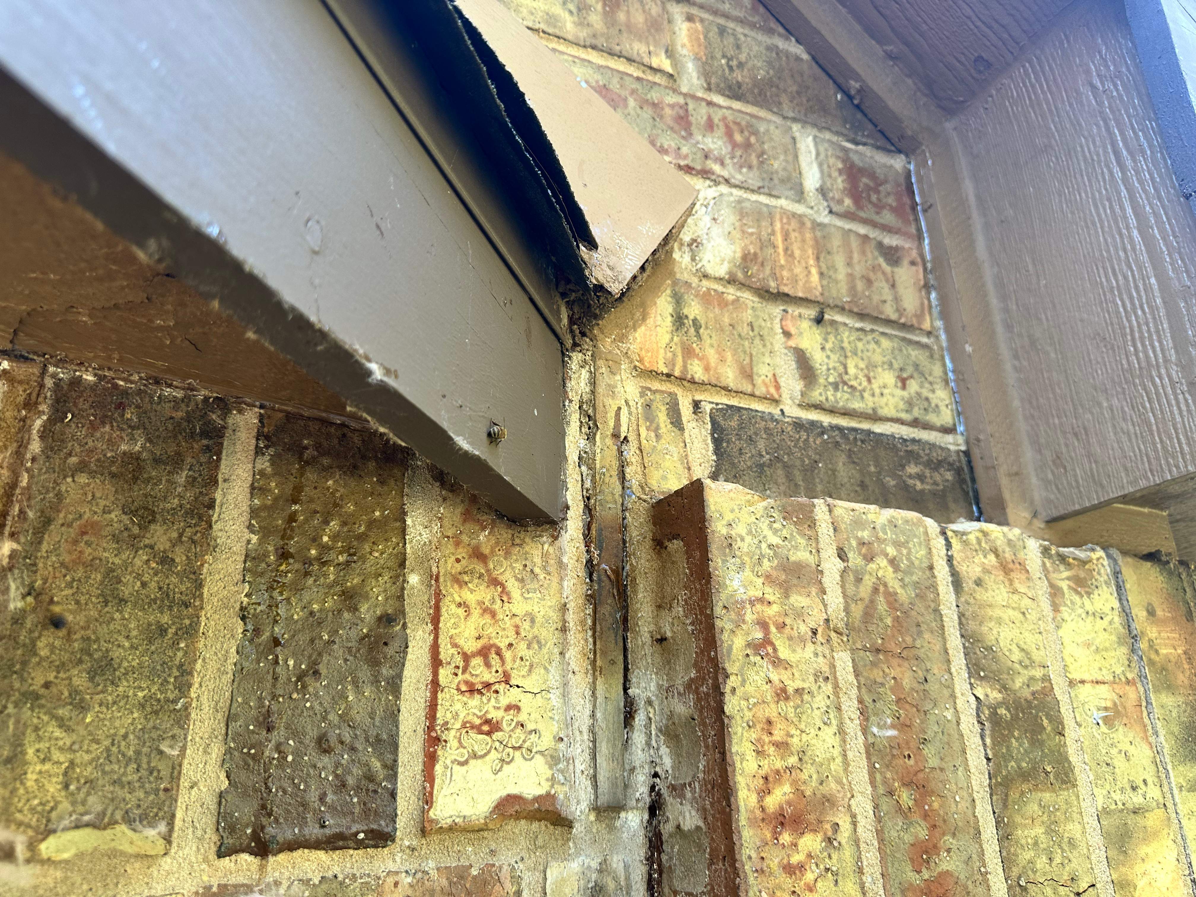 High Bees by Rockwall Honey Bee Company