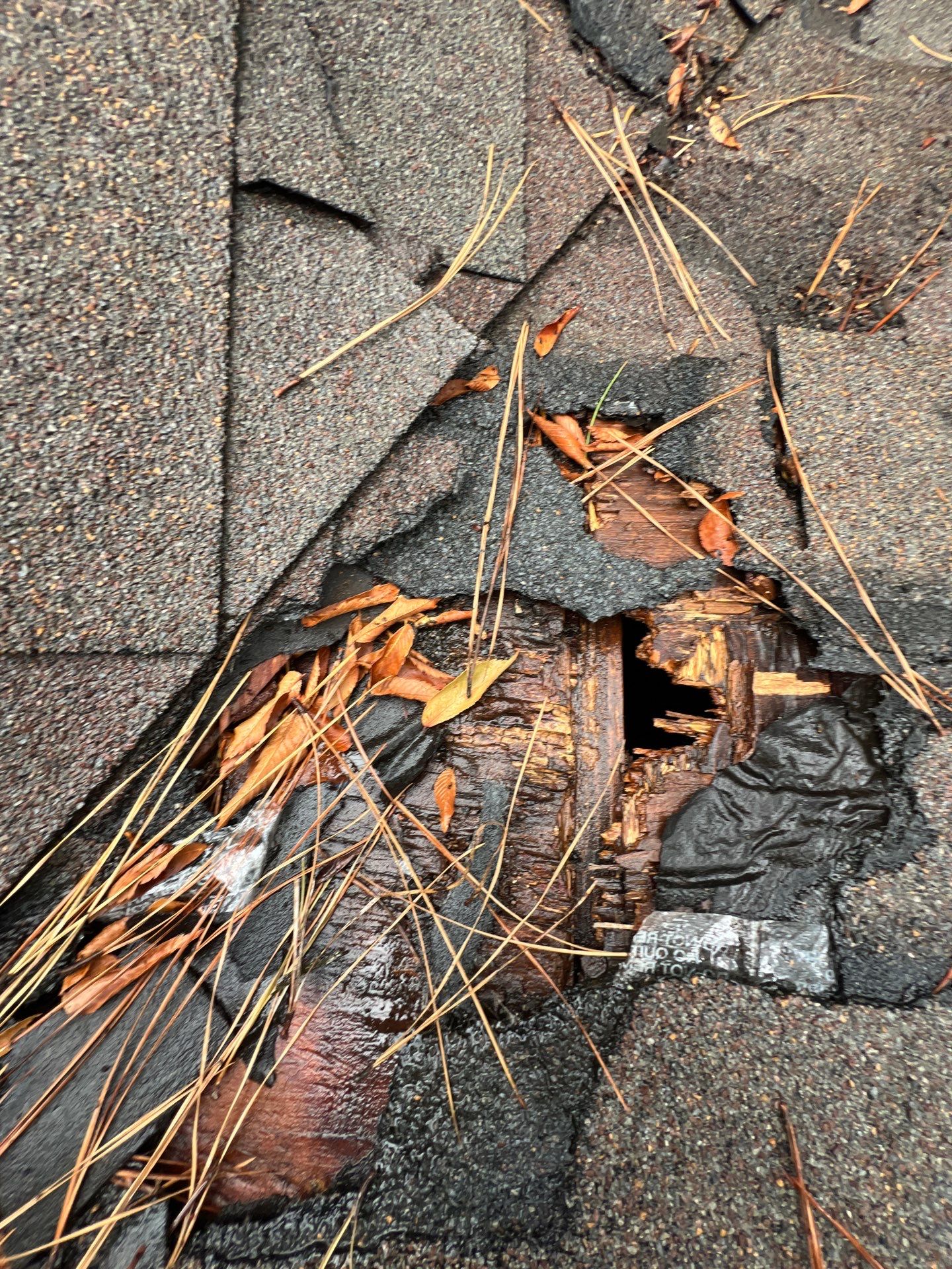 Roof Repair Spring by Roof Repair Company