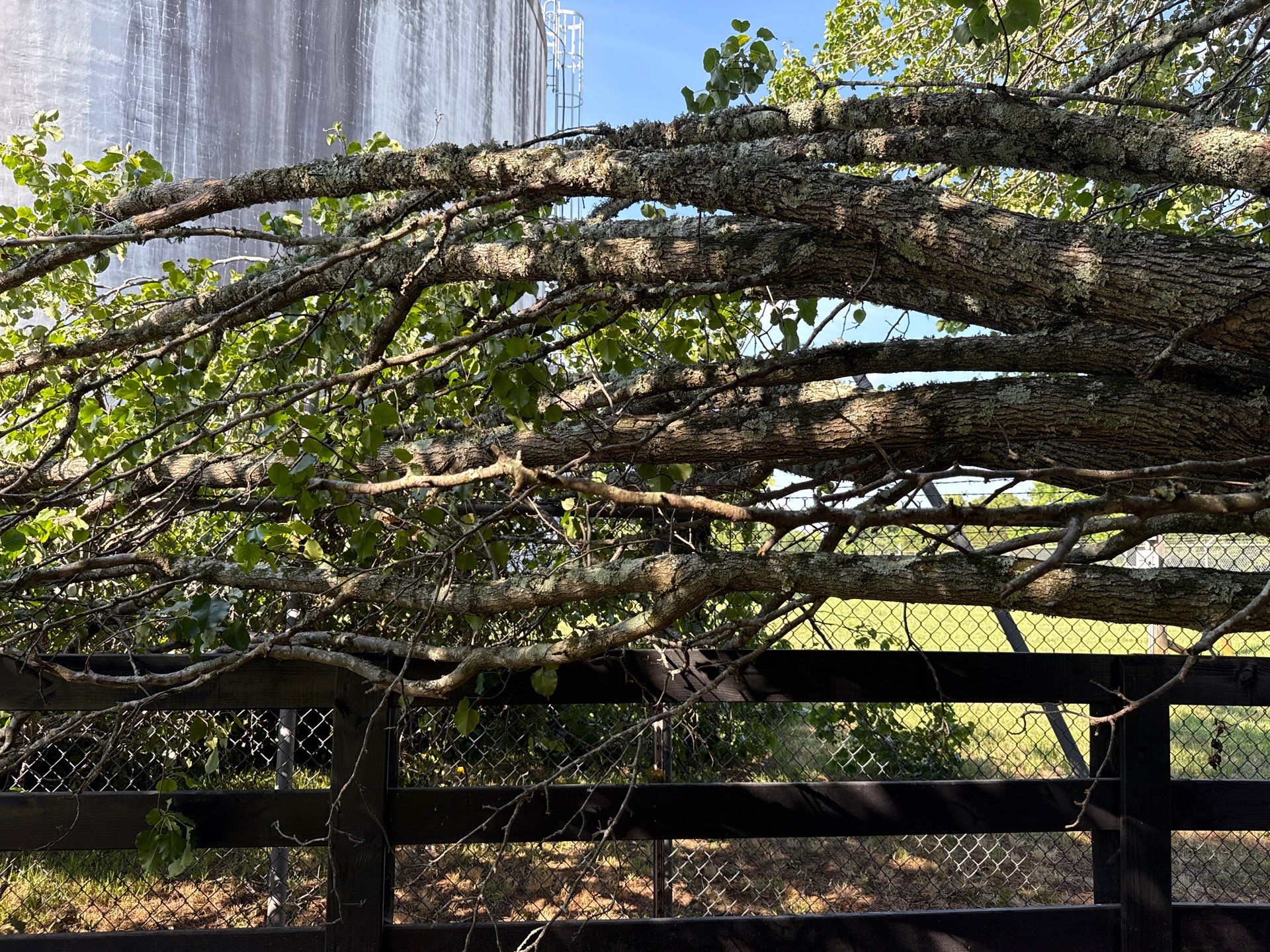 Project in Waxhaw by Badger Hauling