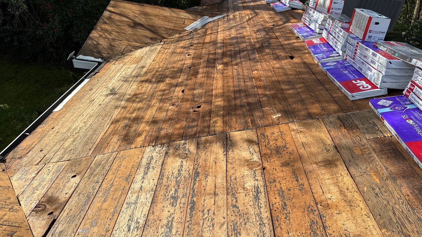 Willa Holmstock by NuLead Construction Inc