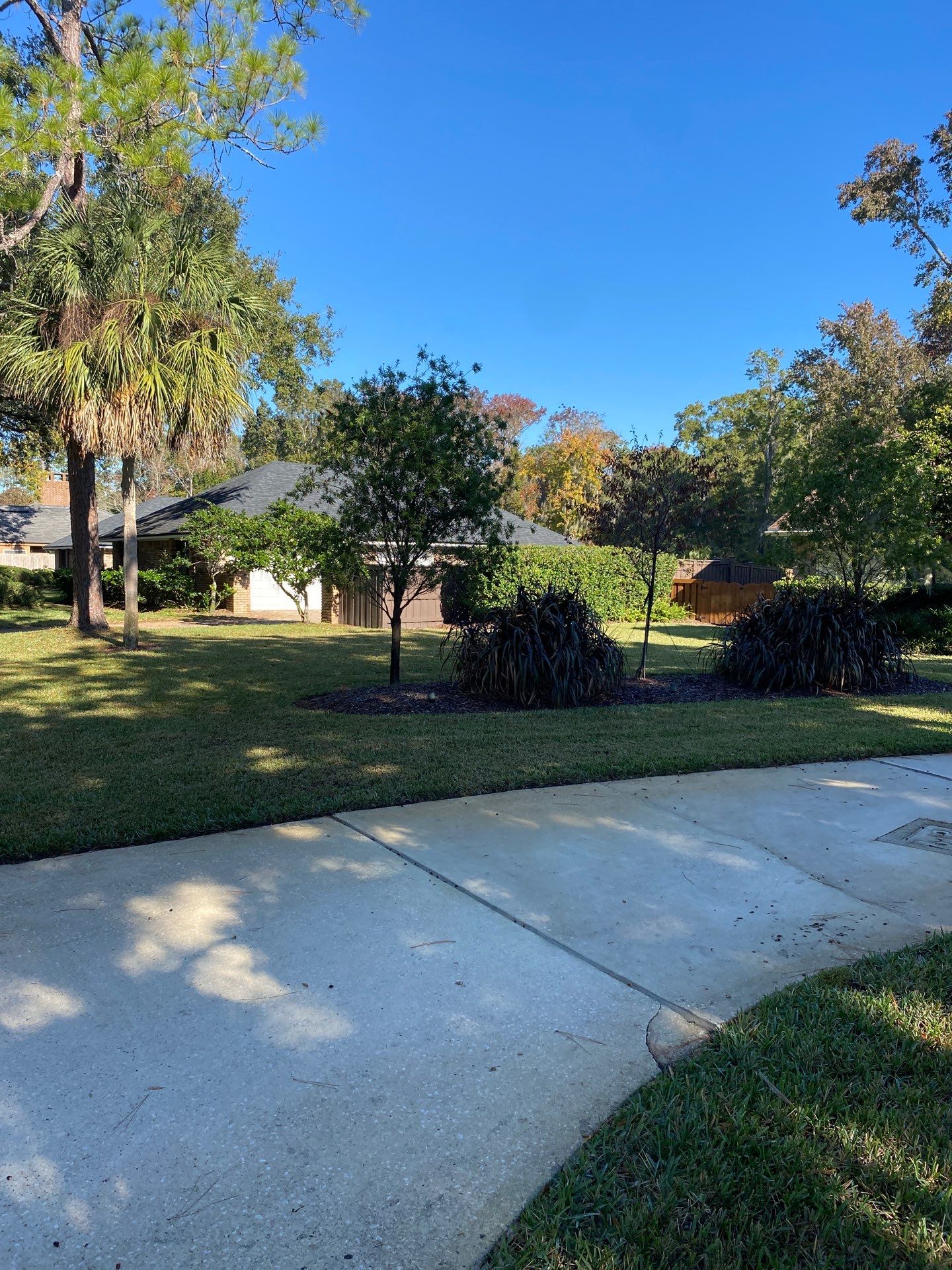 Deerwood Resident | Extreme Clean Up by ProGreen Services