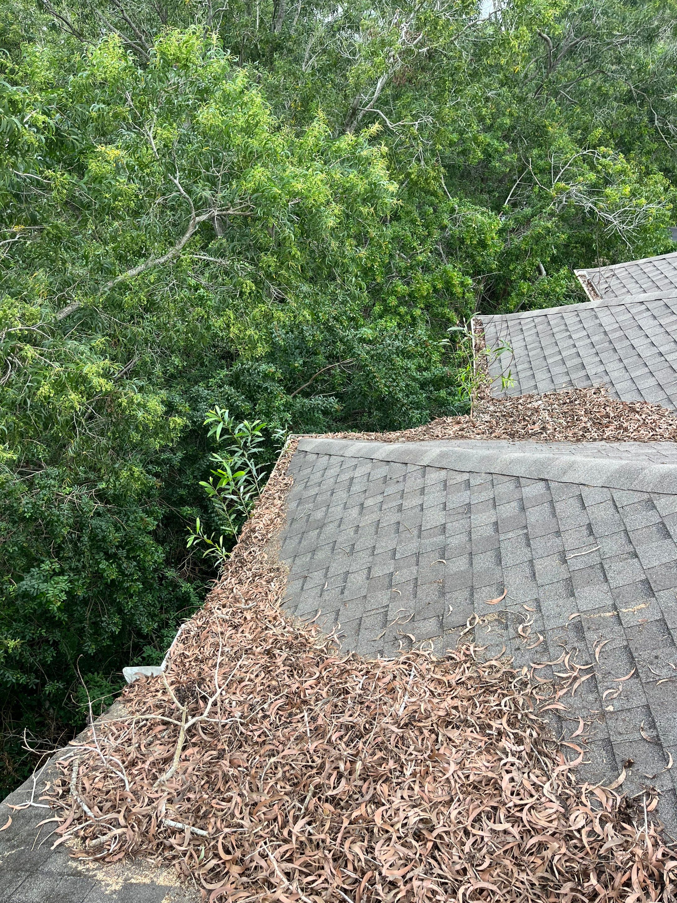 Commercial gutter cleaning Port St. Lucie before photo with filled gutters