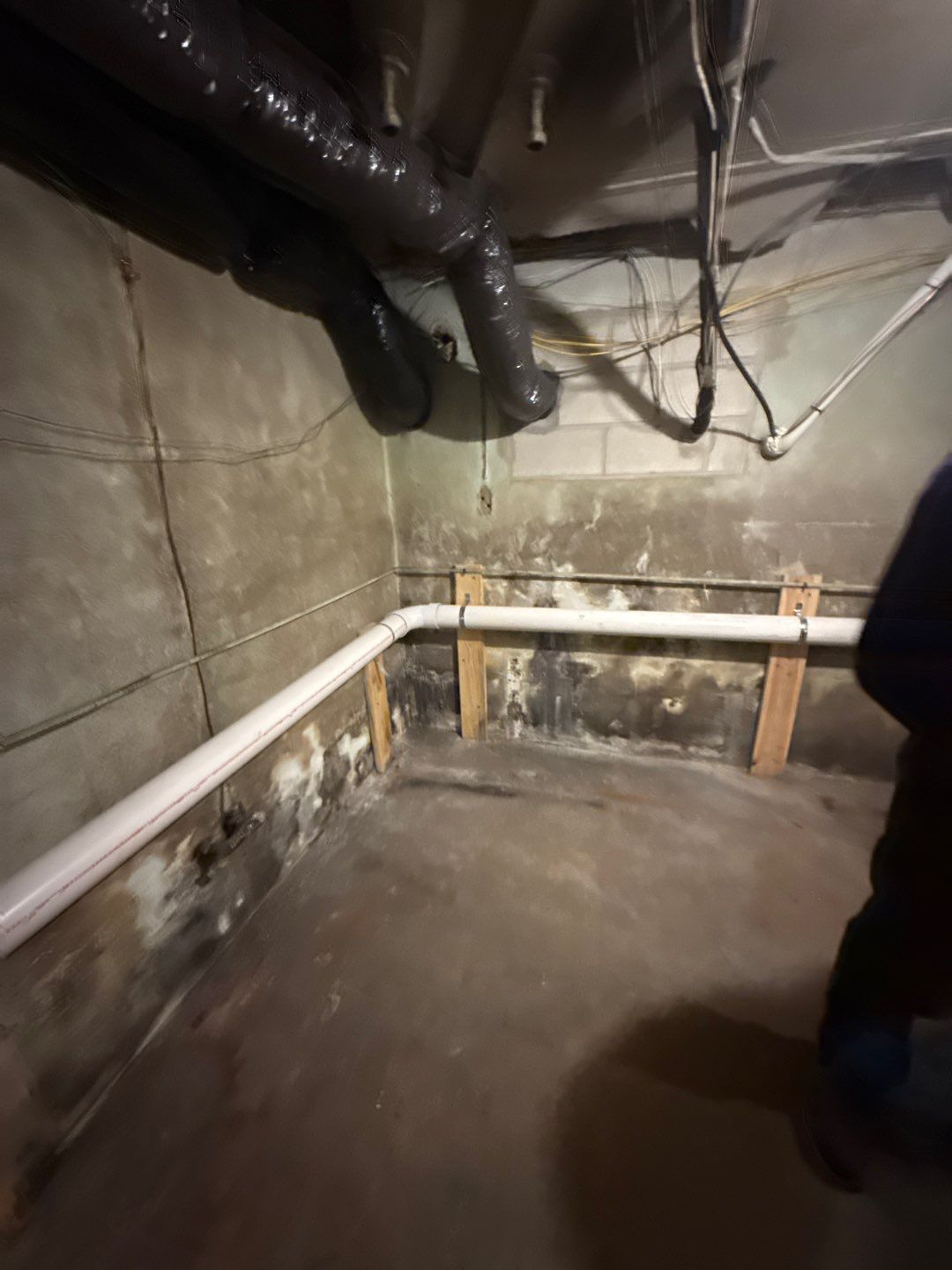 Rehoboth Beach VFW Indoor Air Restoration & Basement Mold Remediation by Healthy Home Solutions