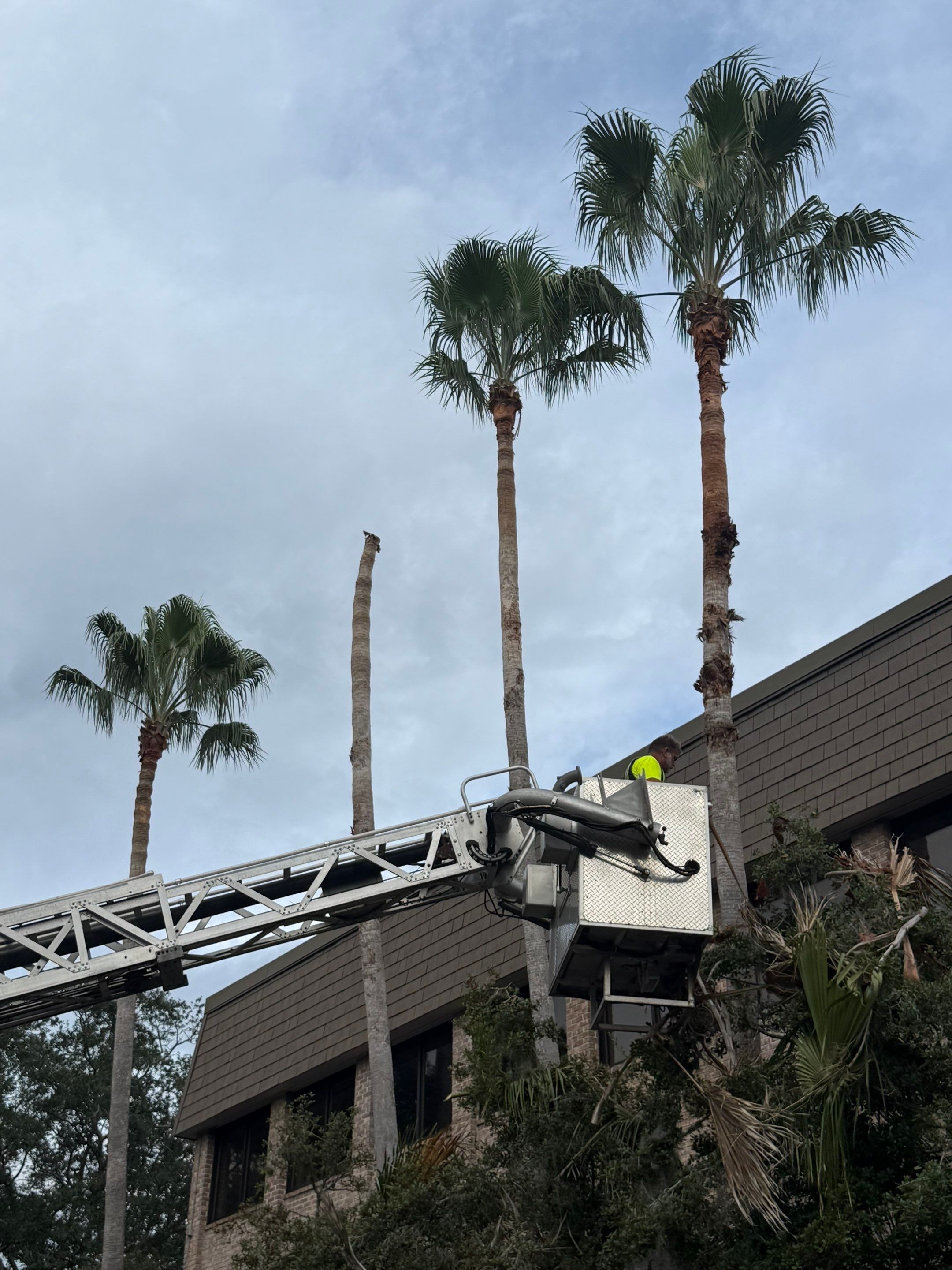 Volunteer Work | Episcopal High School of Jacksonville by ProGreen Services