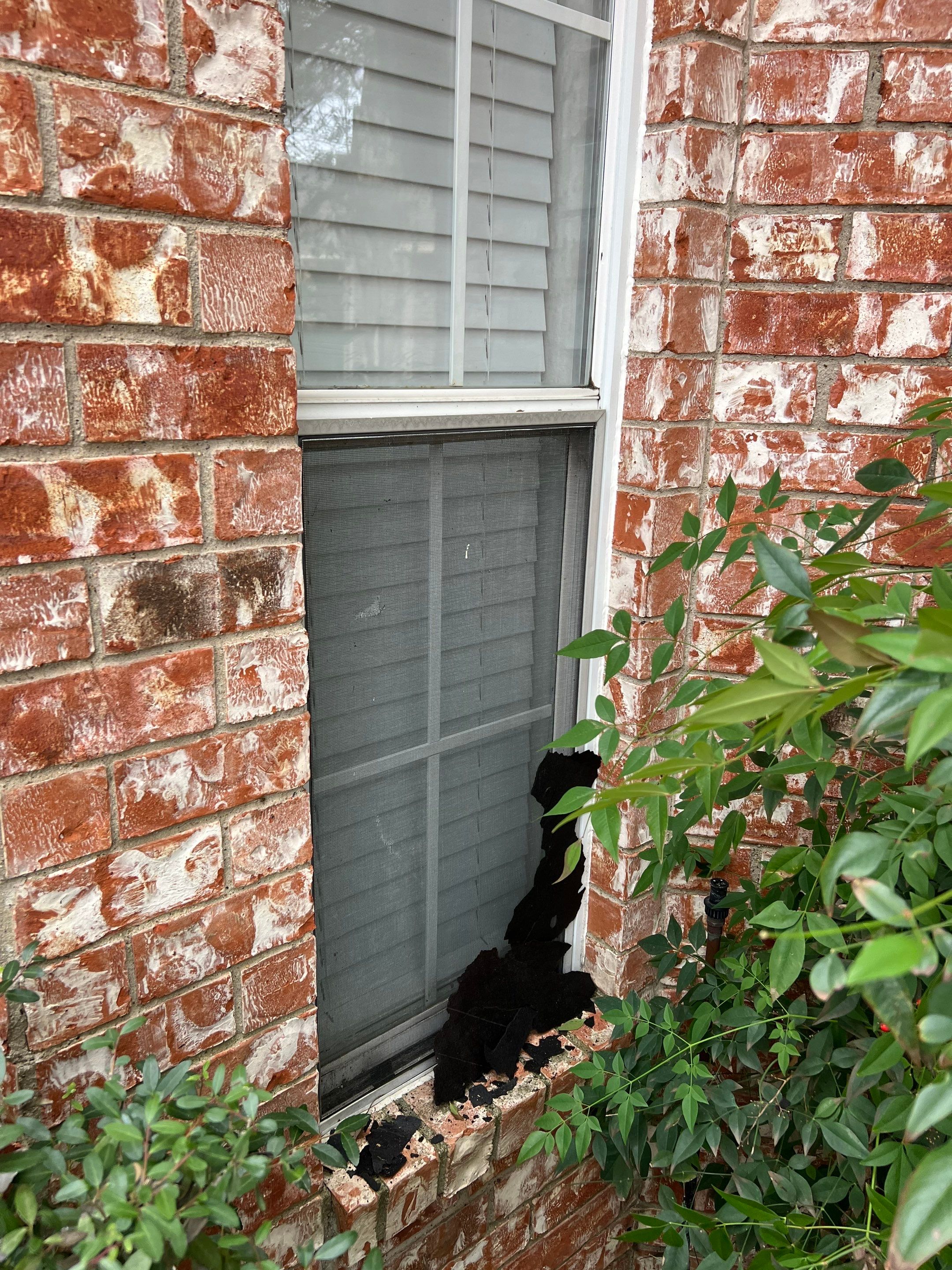Project in Allen by Armor Roofing | Exteriors