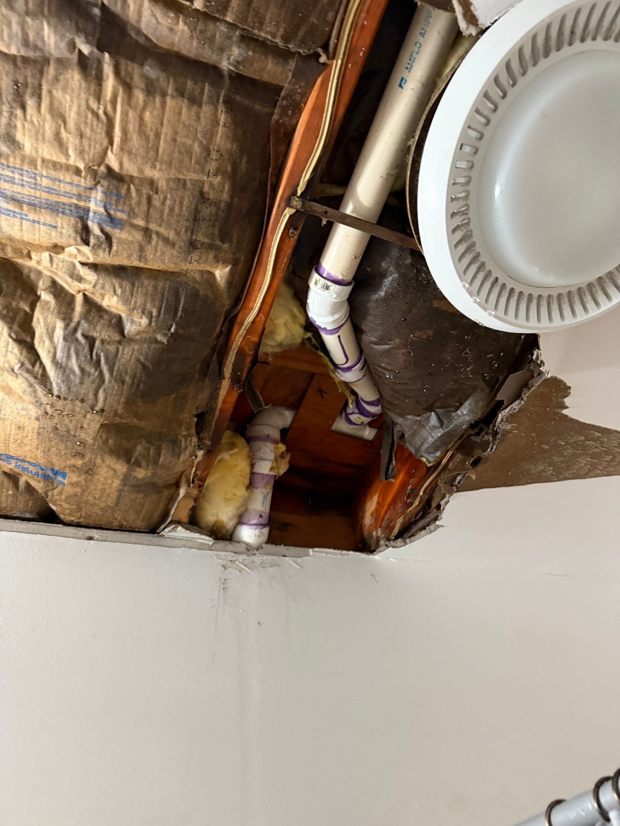 Large‑Loss Water Damage, Structural Drying & Mold Remediation – Rehoboth Beach, DE by Healthy Home Solutions