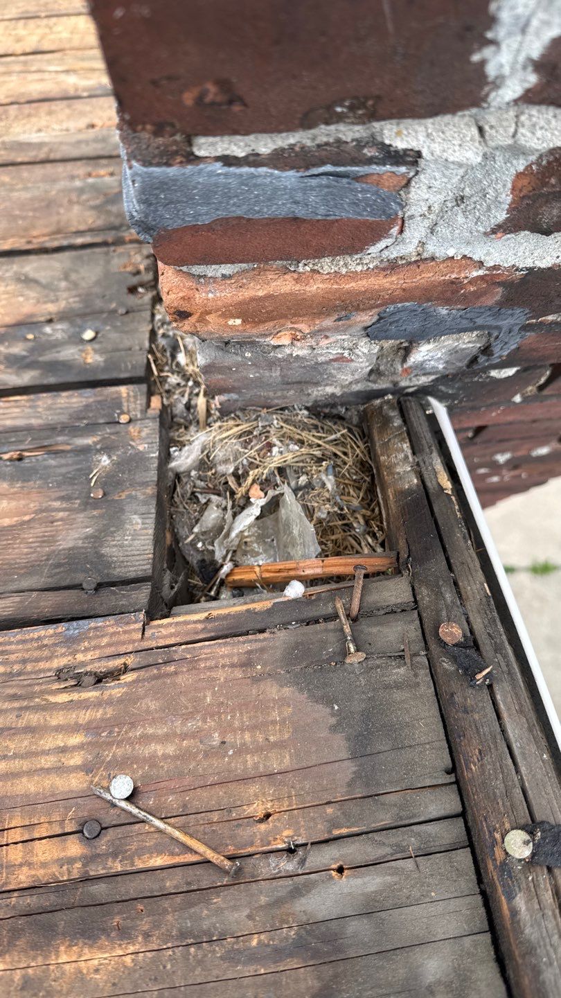 Roof Replacement using Owens Corning Onyx Black by 180 Contractors