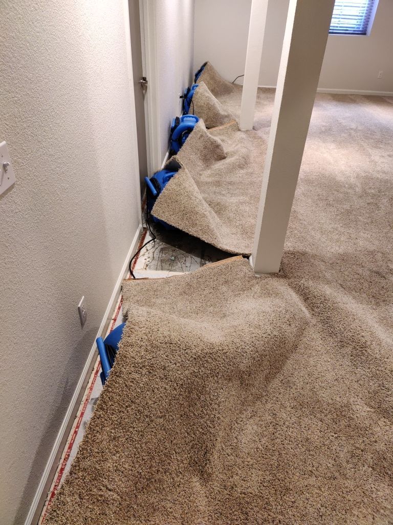 Water Damage  by Accountable Home Services