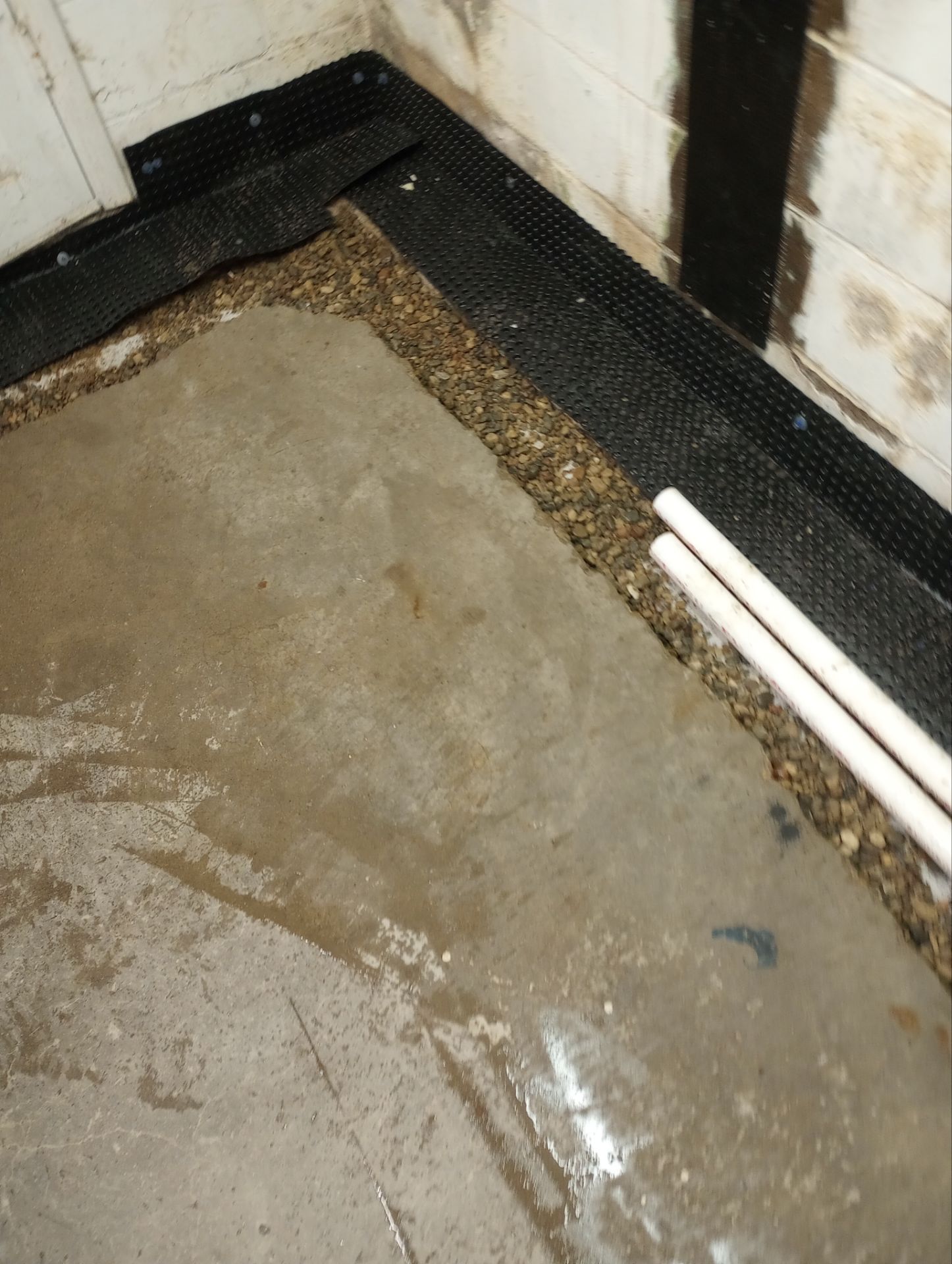 St. Paul Rental by Waterproofing Northeast