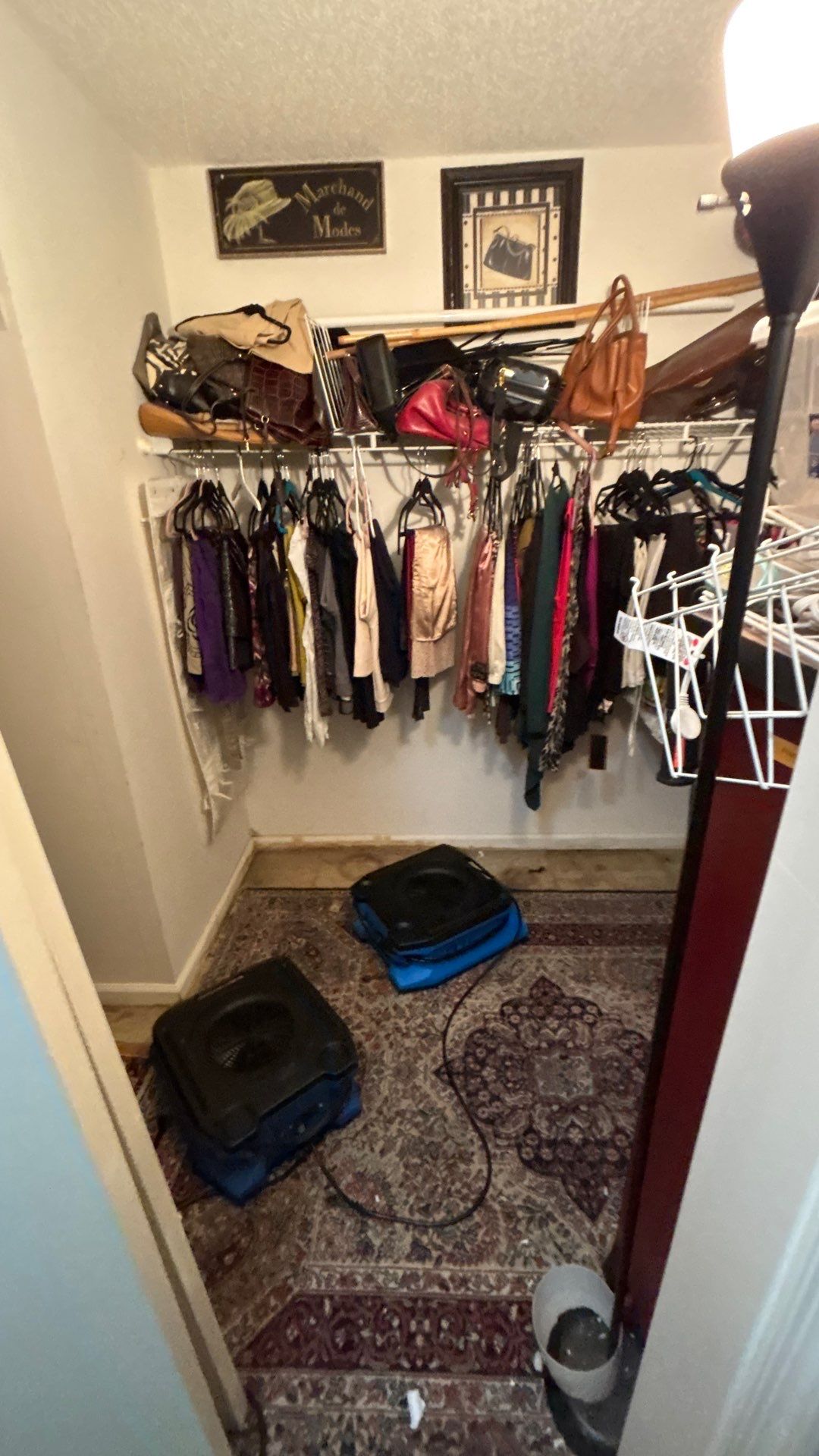 Comprehensive Water Damage Mitigation and Structural Drying in Opa-locka by SuperClean