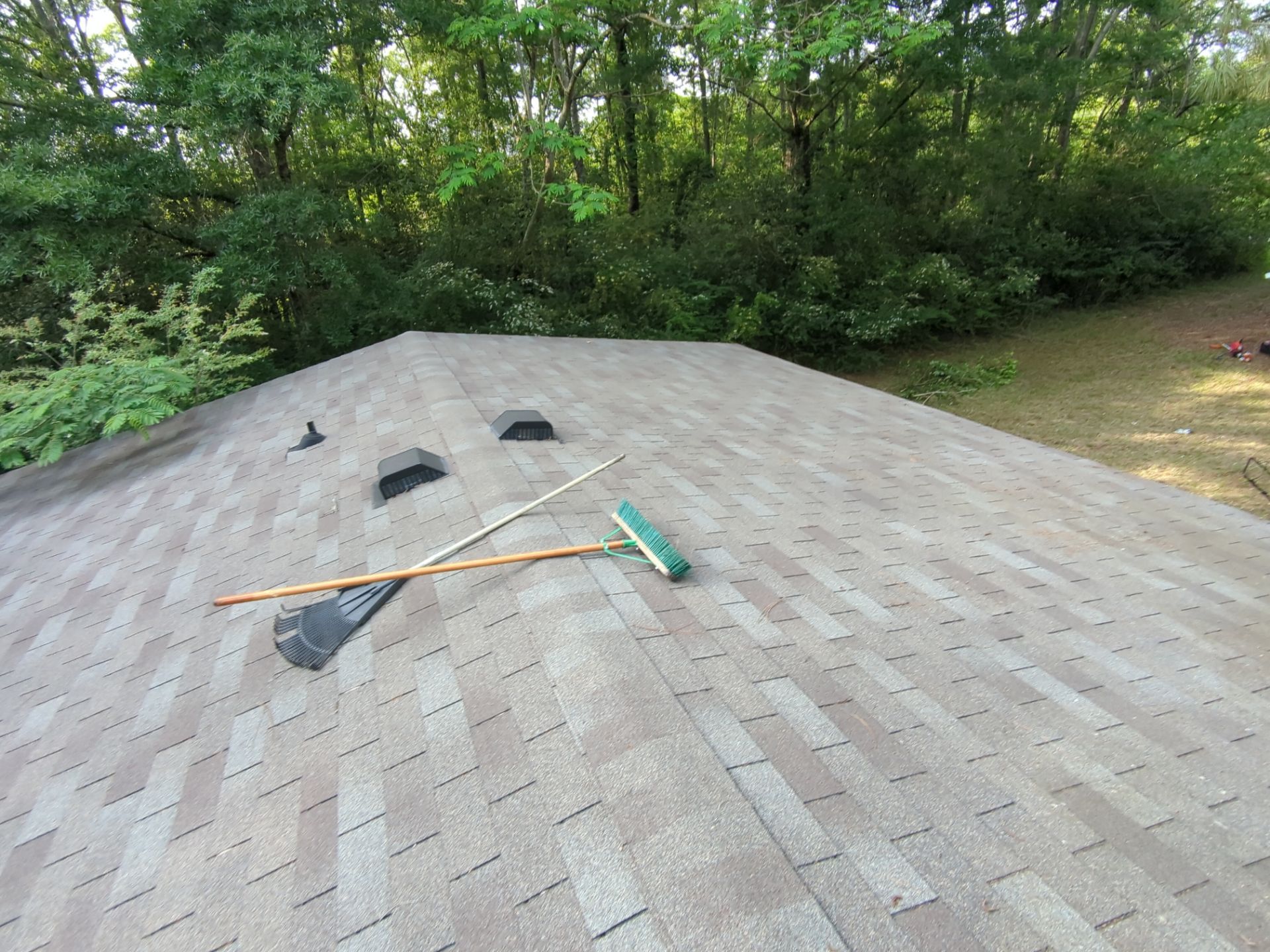 Exterior Clearing - tree trimming - grass cut by Swift Signings and Services LLC