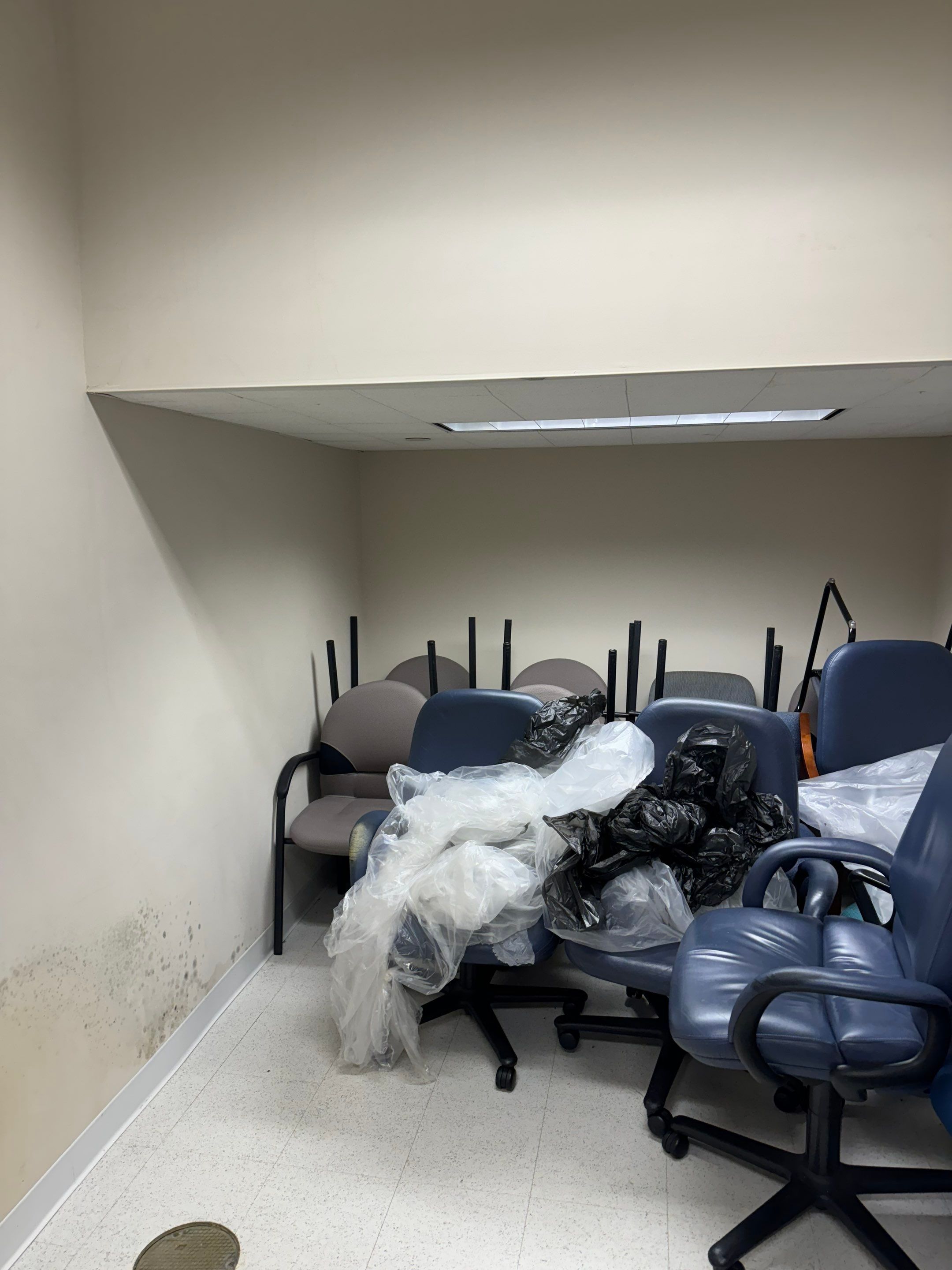 Mold Remediation Fairfield NJ by Pure Service Pro, LLC 