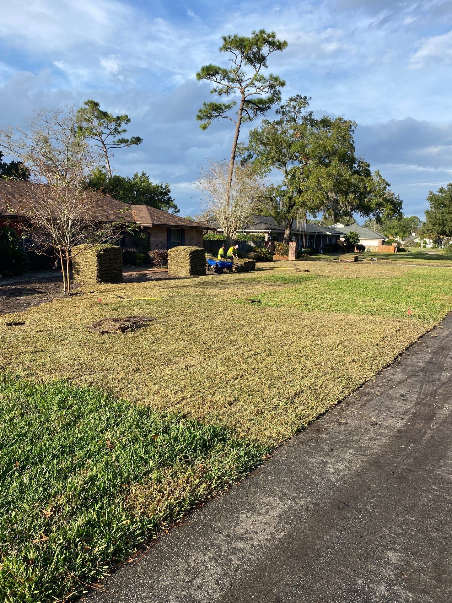 Deerwood Resident | Sod Replacement by ProGreen Services