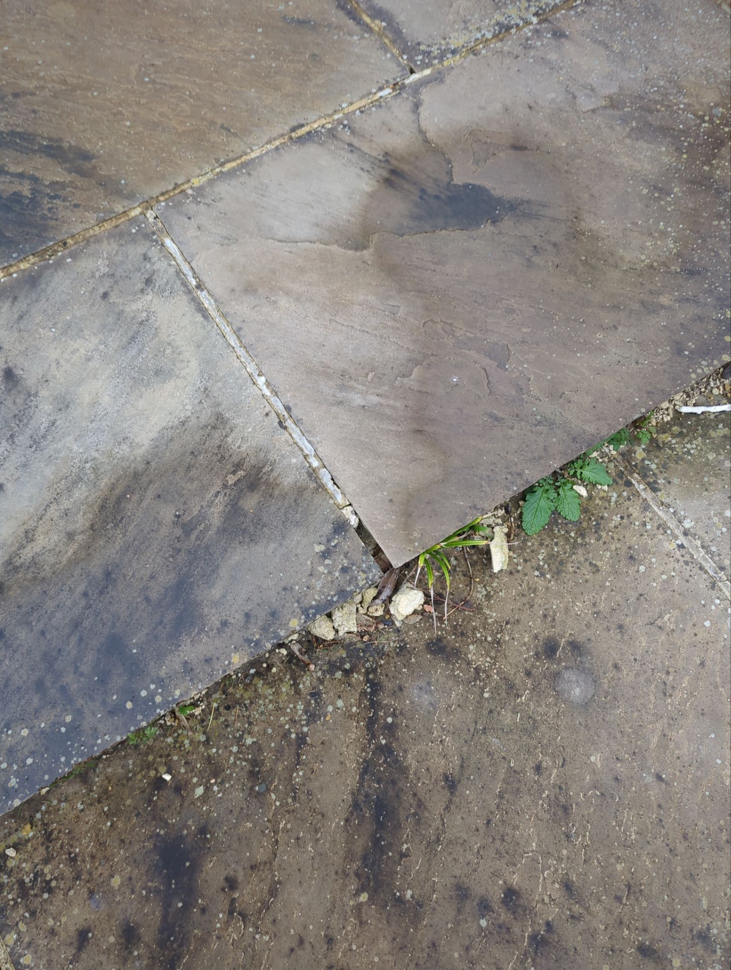 Patio Area Spring Clean using Mosmatic Flat Surface Cleaner by Ges Exterior Cleaning ltd
