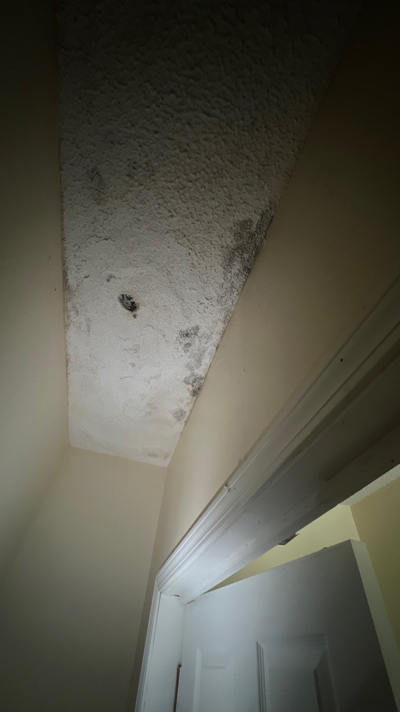 The Gardens of Rome by PC&D