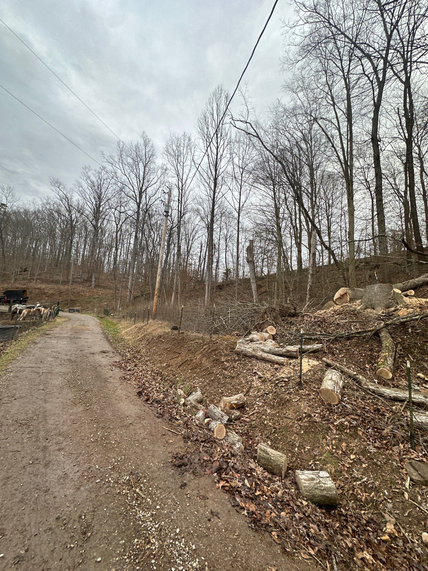 Project in WV by Jones Empire LLC