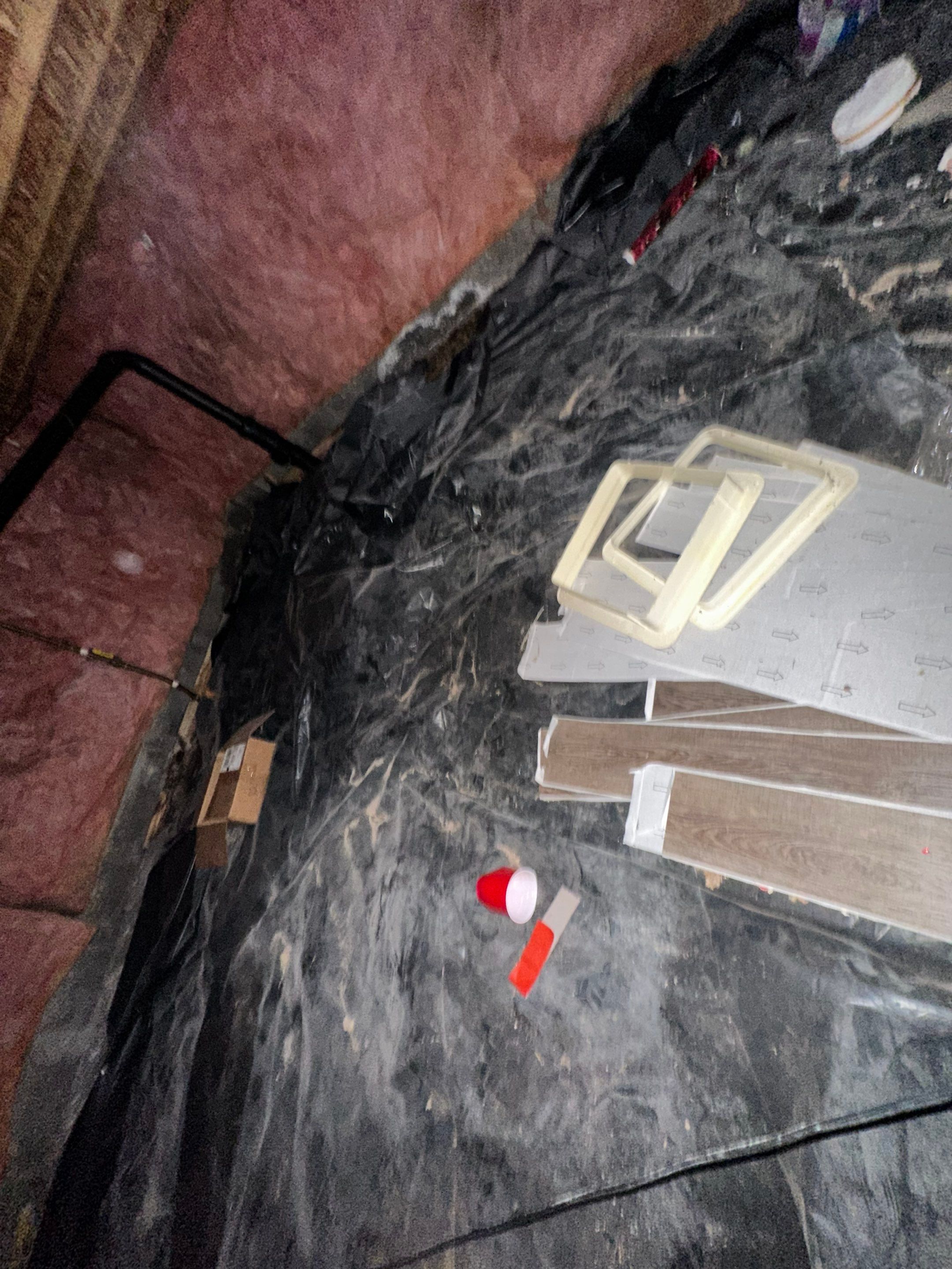 Mold Removal in Brighton, CO by Alpha Restoration 
