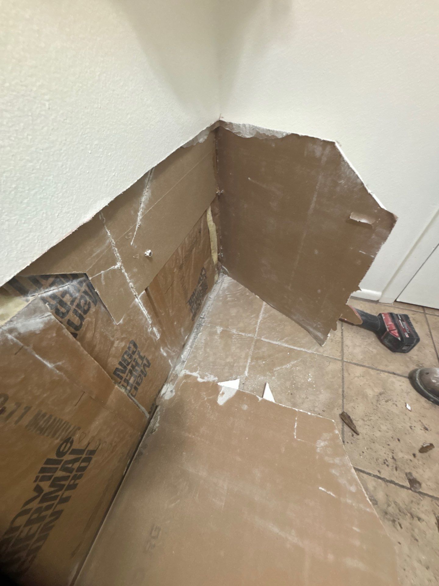 Mold Inspection & Removal In Palmetto, FL by Ampm Restoration Services