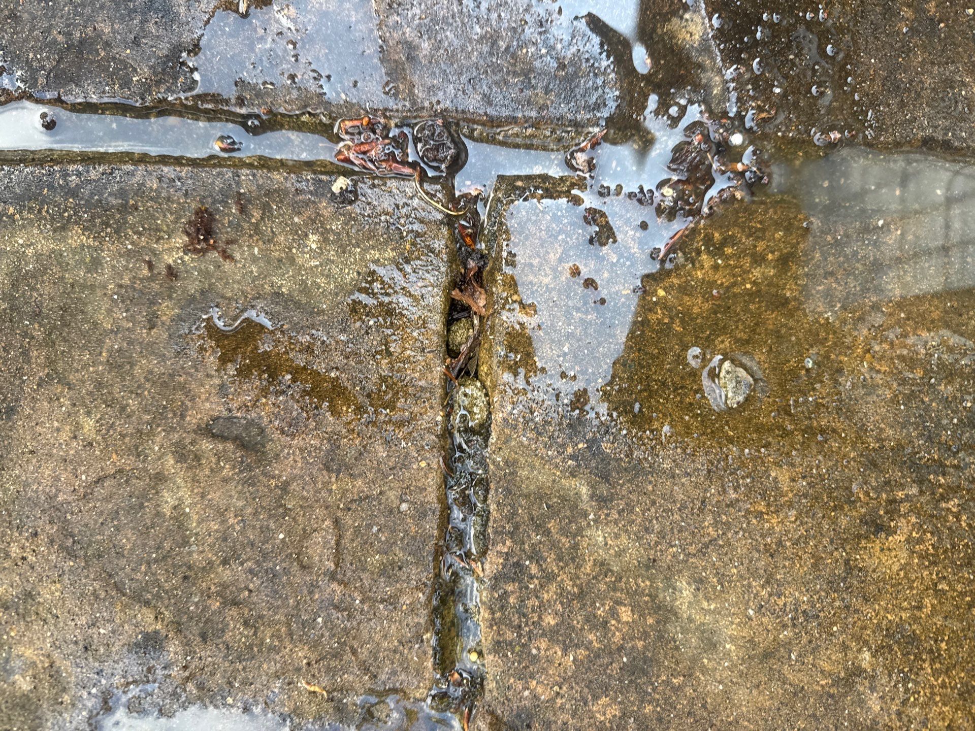 Patio Clean by Ges Exterior Cleaning ltd