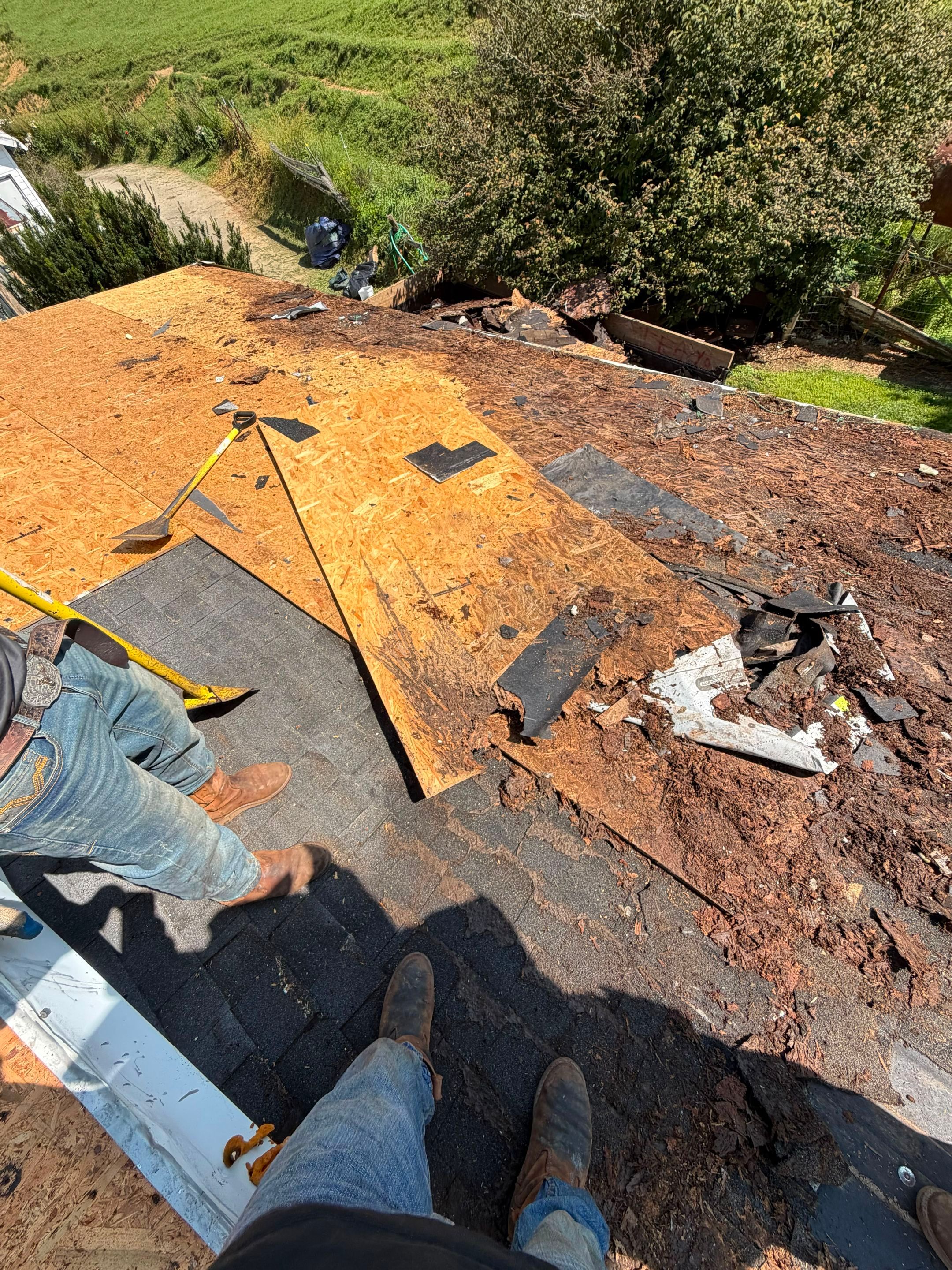 Byrd Residence by Omnia Roofing