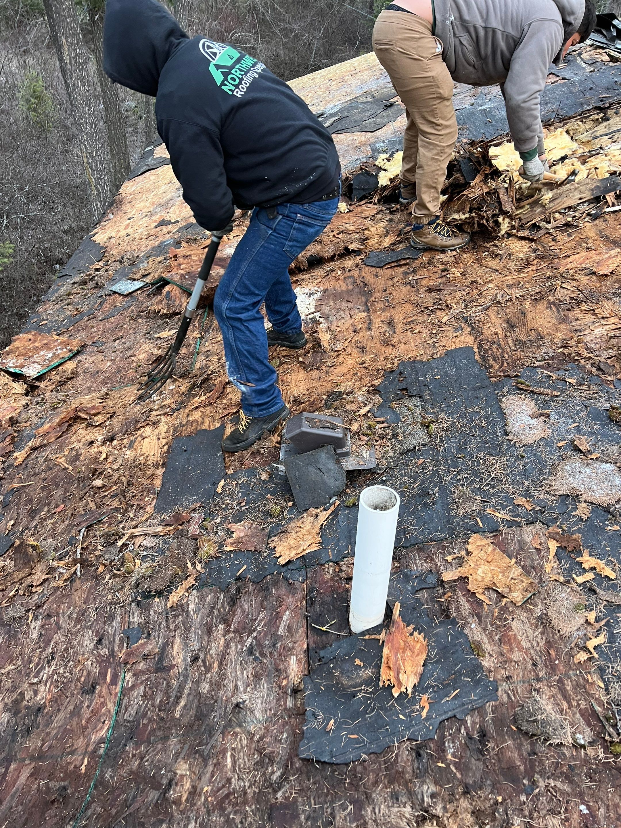 GAF Timberline HDZ - Hunter Green by Montana Roofing Solutions