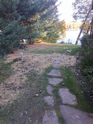 Project in Balsam Lake