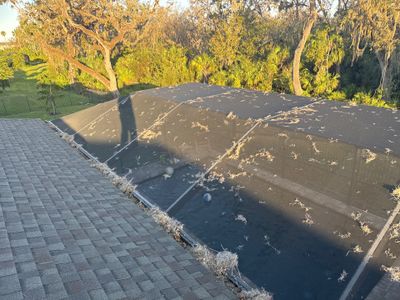 Post-Hurricane Gutter and Screen Enclosure Cleaning in Palmetto, FL | Trevesta Community