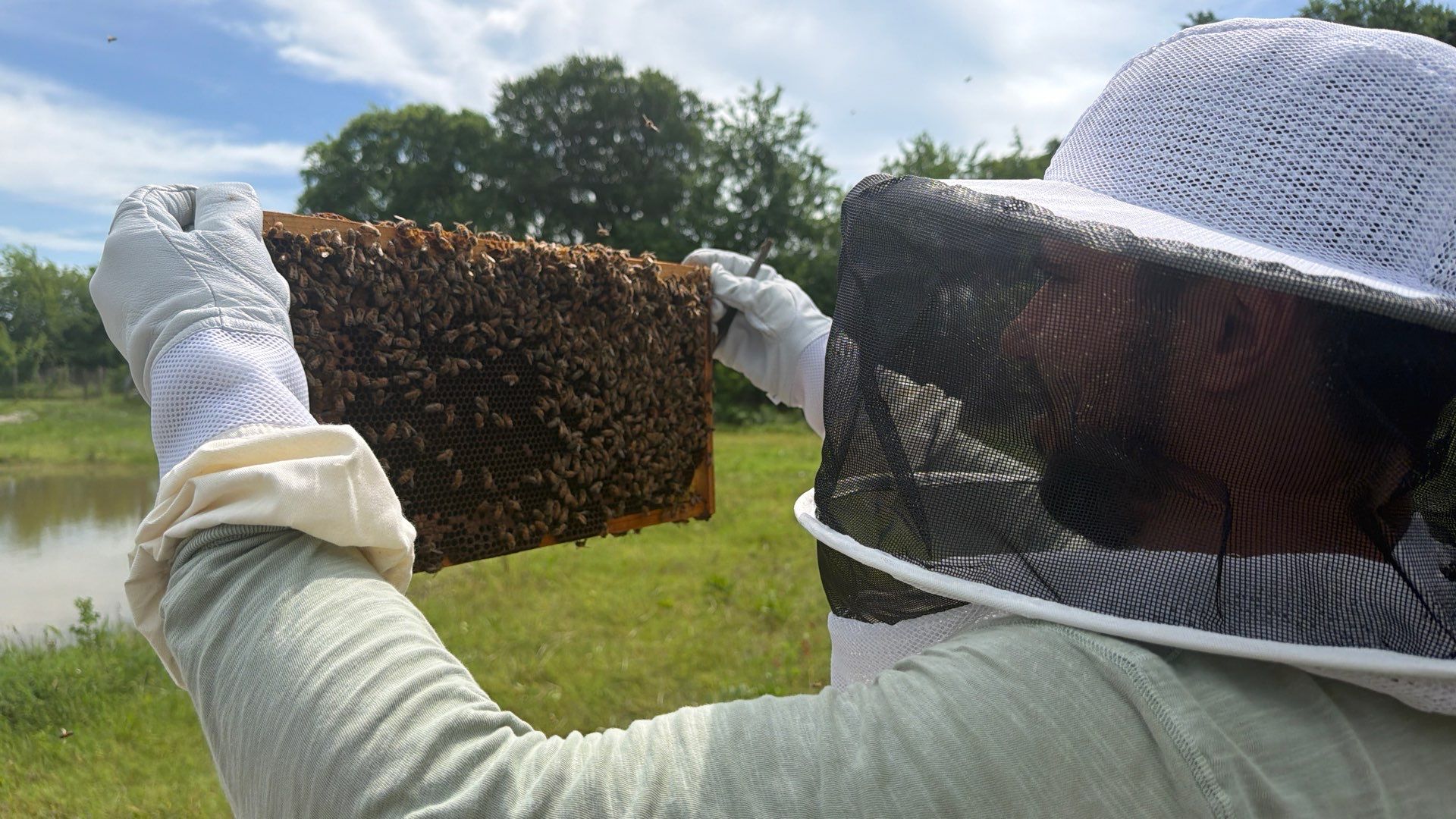 Hometown New Beek by Rockwall Honey Bee Company