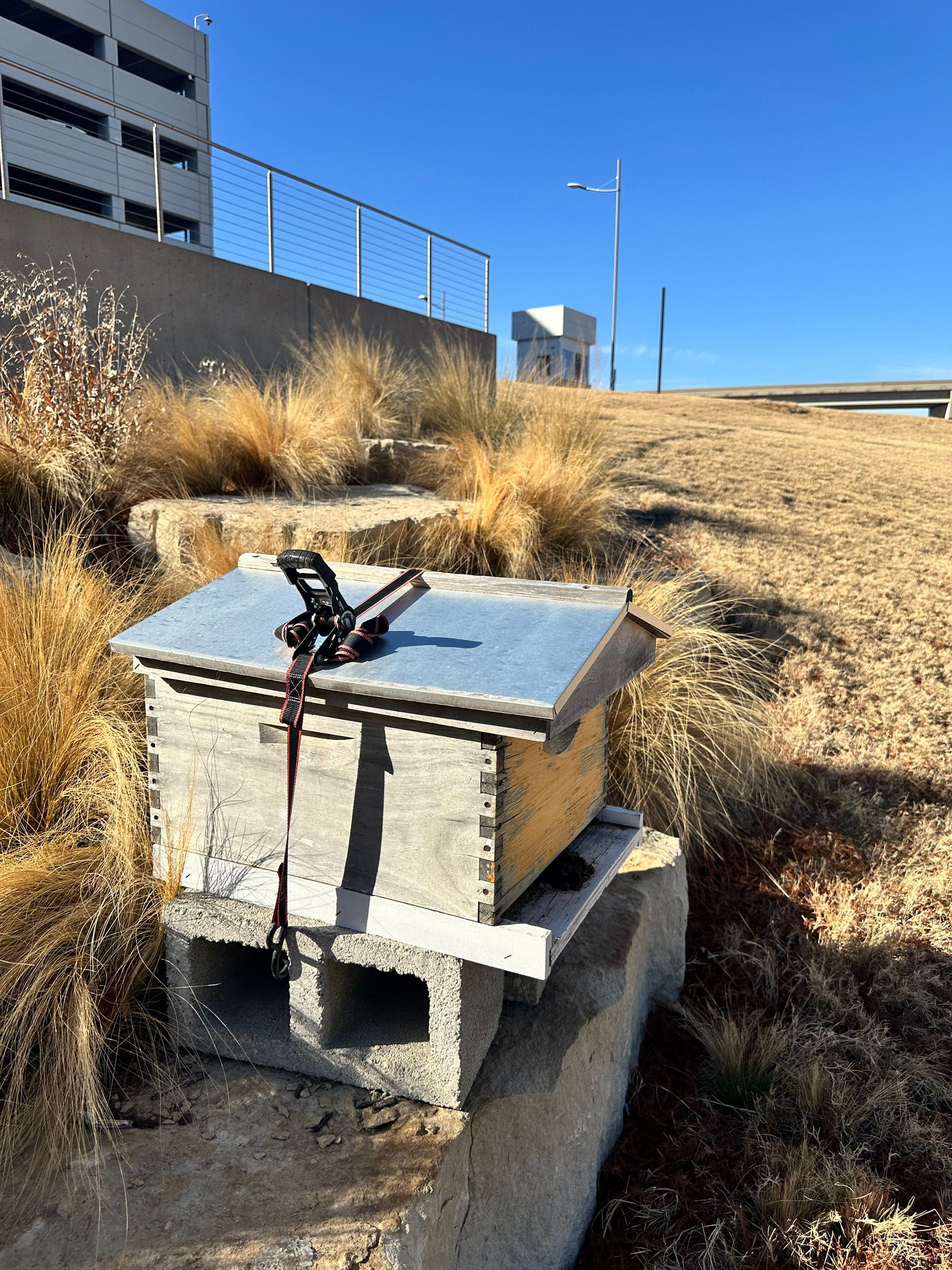 Frisco Corporate HQ by Rockwall Honey Bee Company