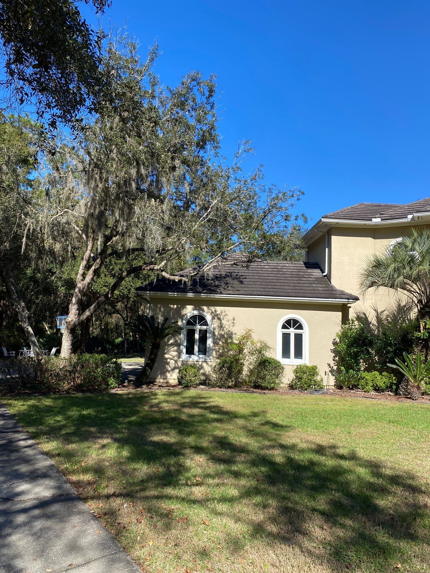 Deerwood Residence | Tree Work by ProGreen Services