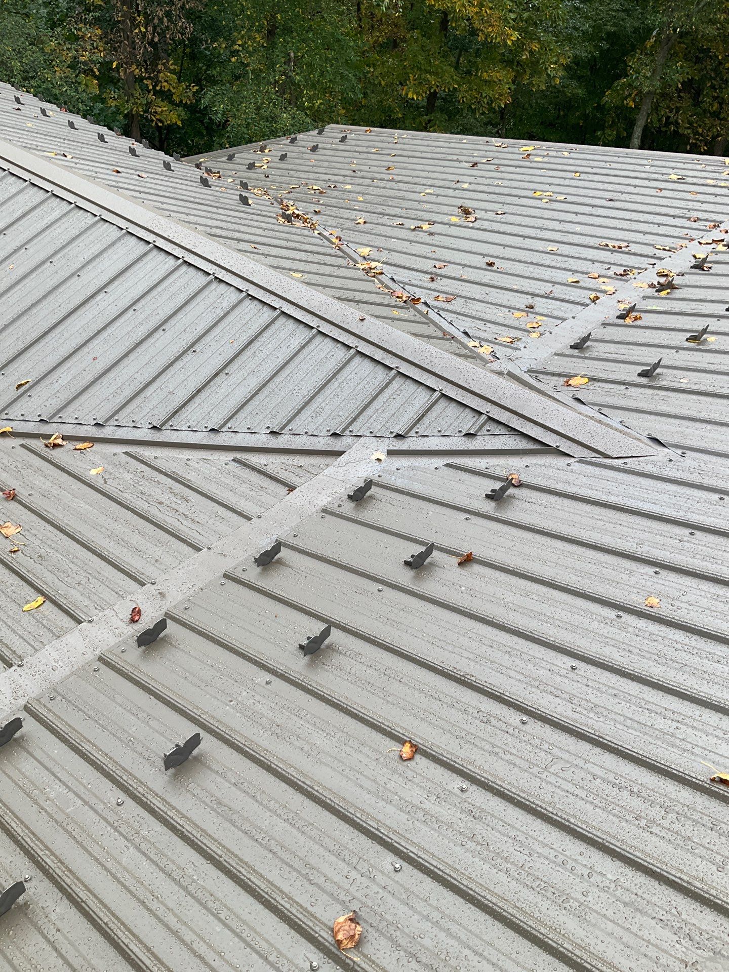 Log Cabin Standing Seam Metal Roof and Skylight Replacement by Esh Builders