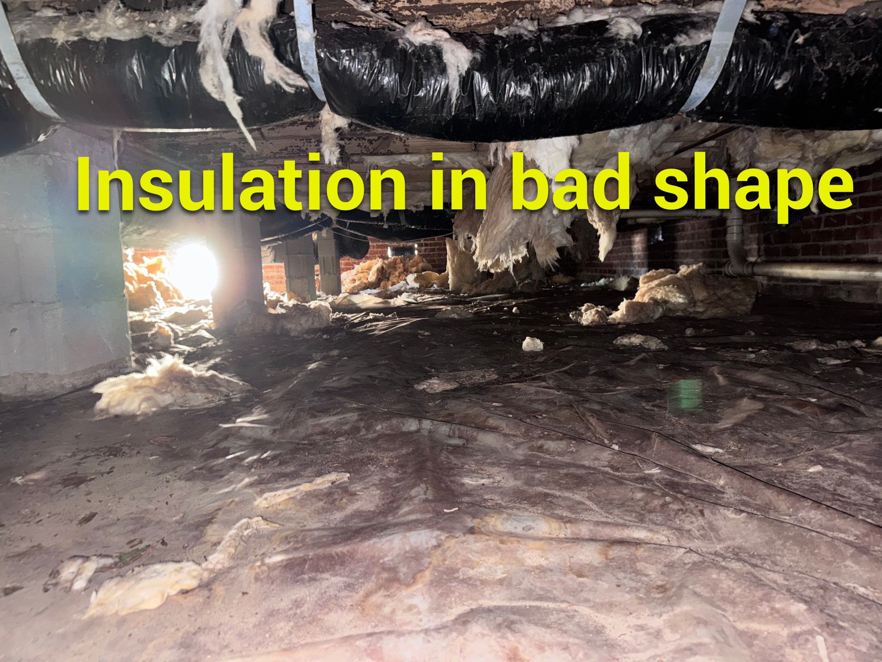 Structural Repairs inludiing sub-floor removal, new floor joists installed, girder replacmeent and dropped girder installed. by Impact Crawlspace