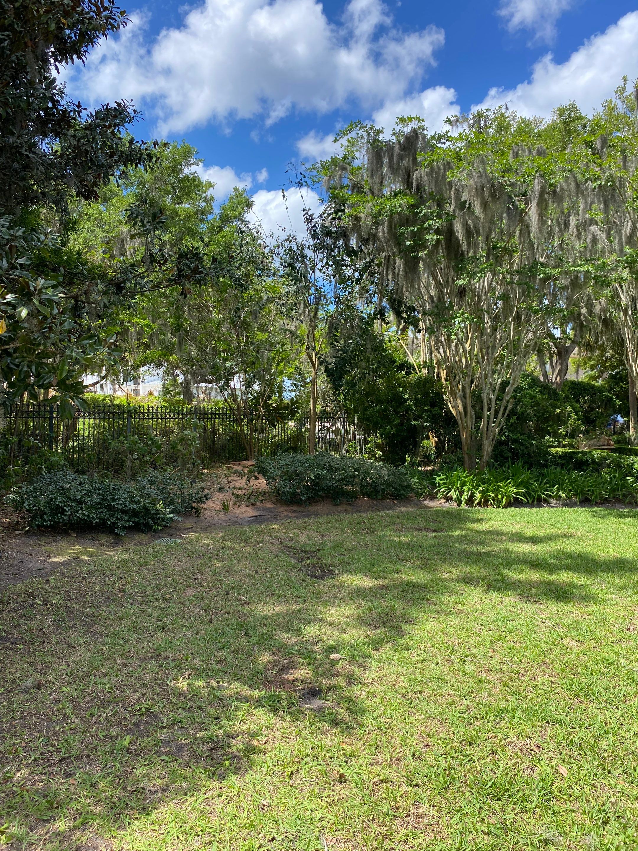 Residential | Tree Removal by ProGreen Services