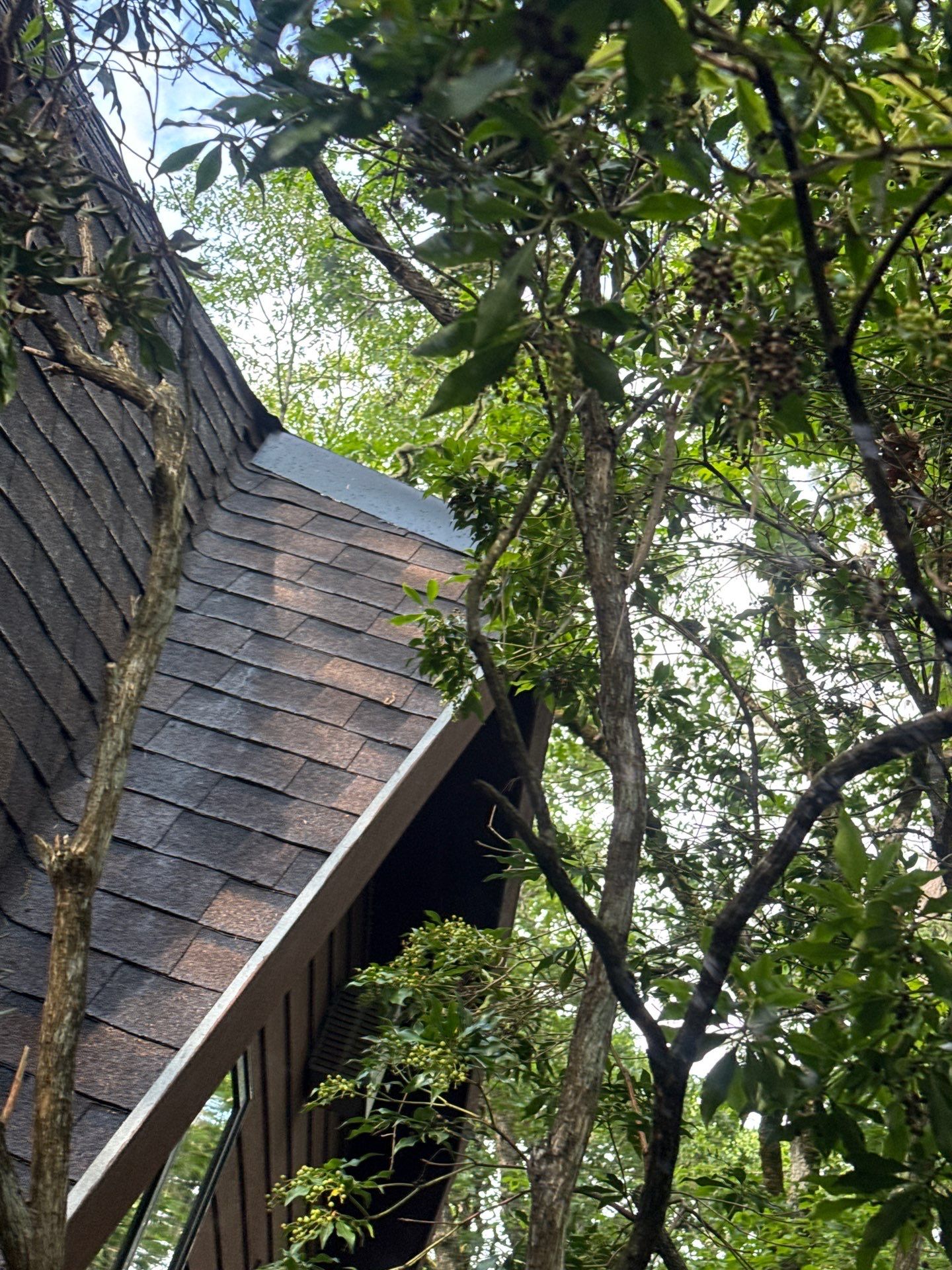 Residential Shingle Dome Roof Installation – Eugene, OR by BEST Roofing & Waterproofing