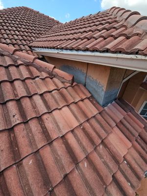 Project in Dania Beach