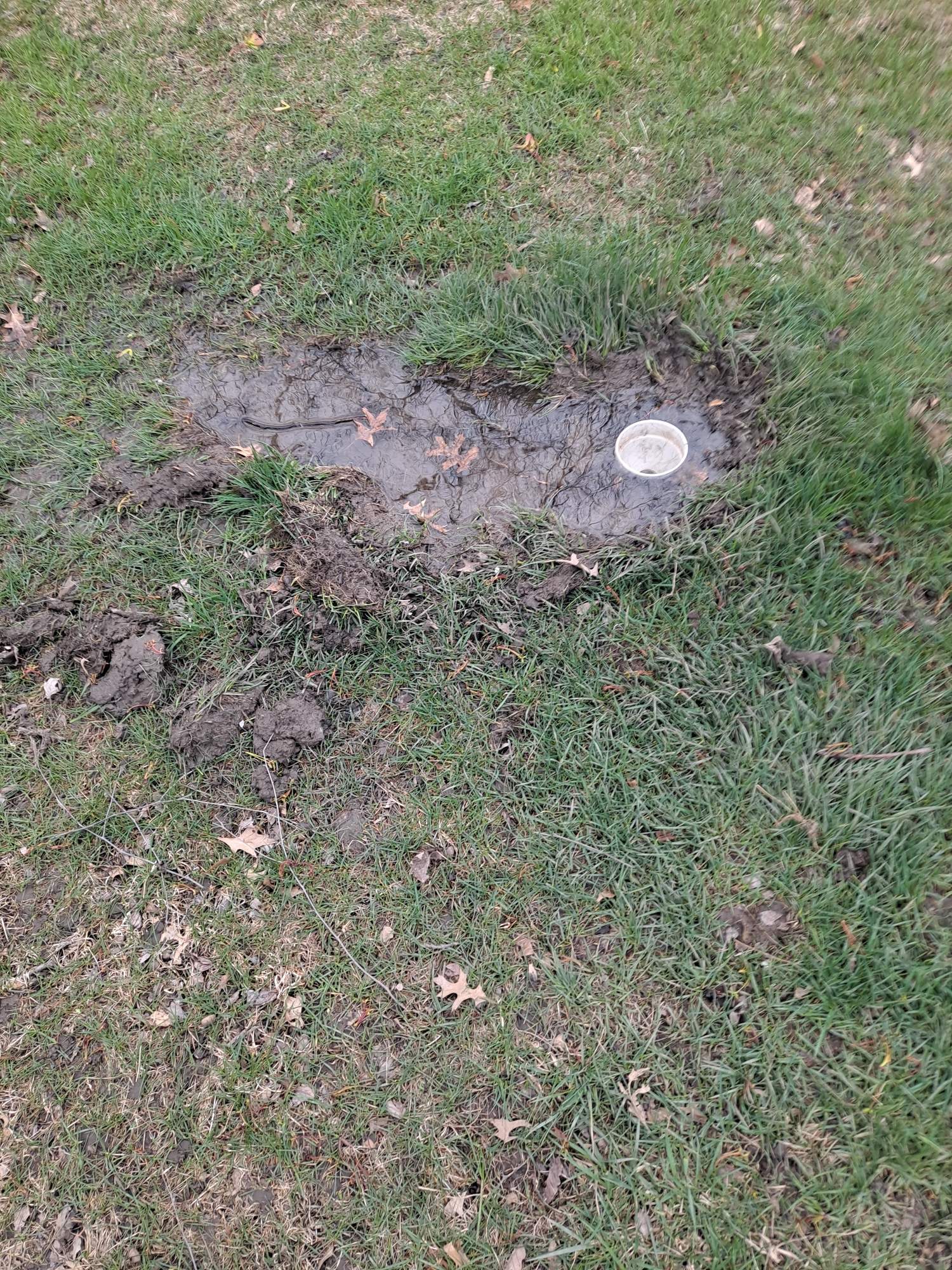 Exterior Sump Pump Discharge System by Allied Water Services
