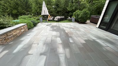 bluestone using Algaecide, soft wash soap