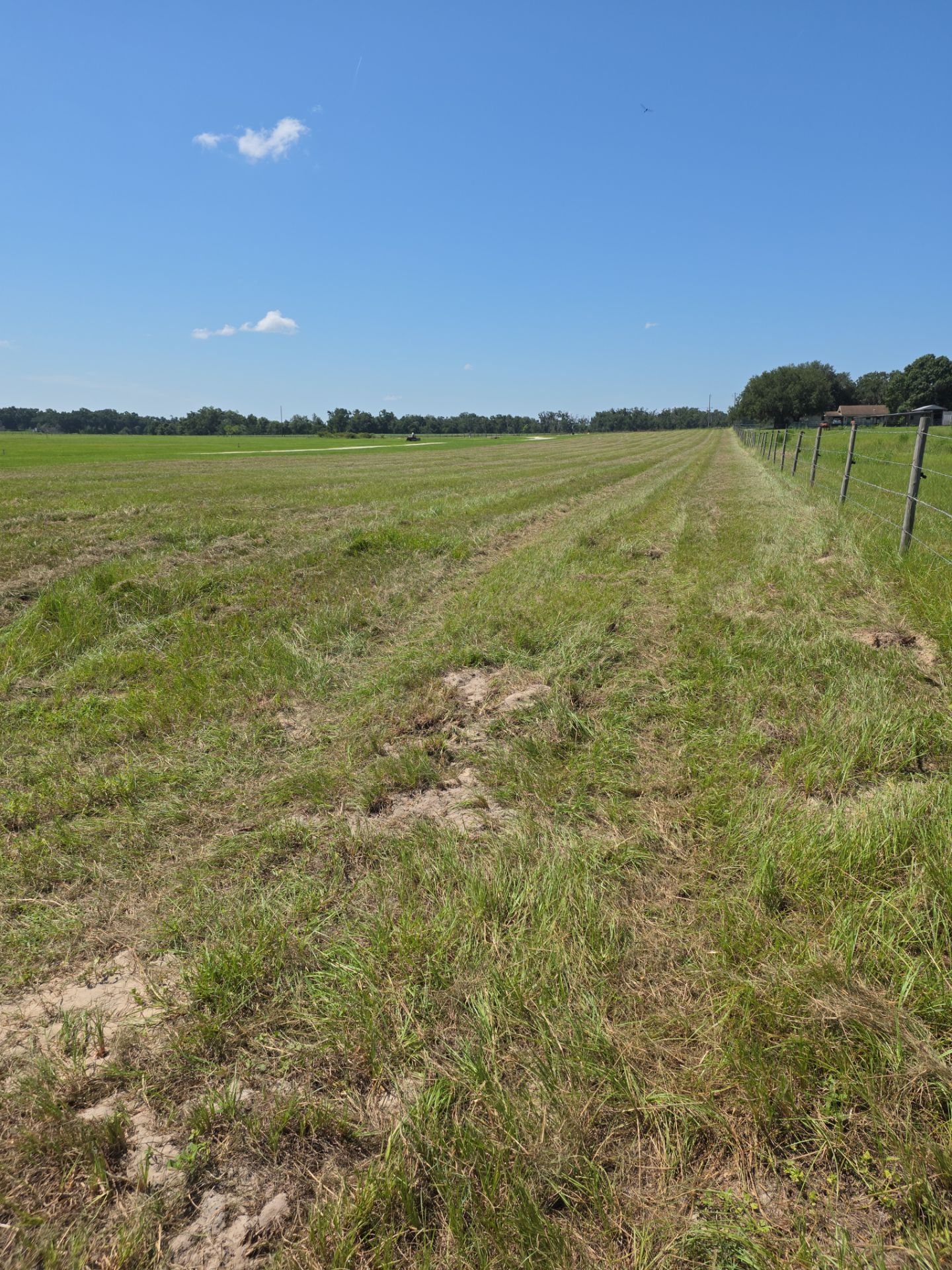 Project in Brooksville