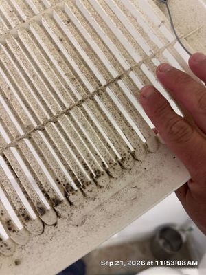 Emergency Water Extraction — Naples, FL