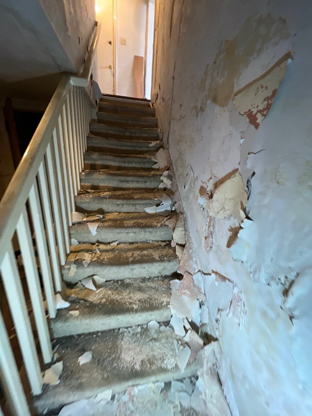 Mold Remediation by Accountable Home Services