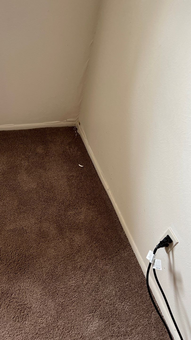 Water Damage  by Accountable Home Services