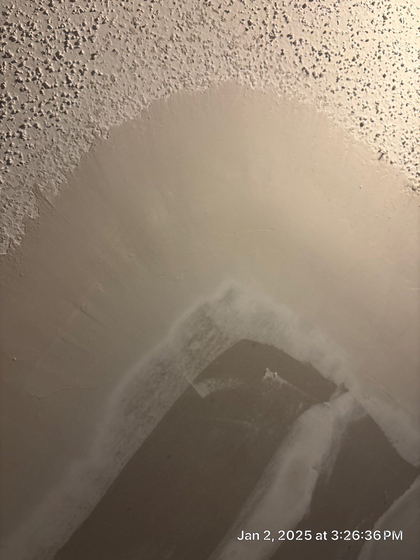 Pebble Springs Water Mold by Ampm Restoration Services