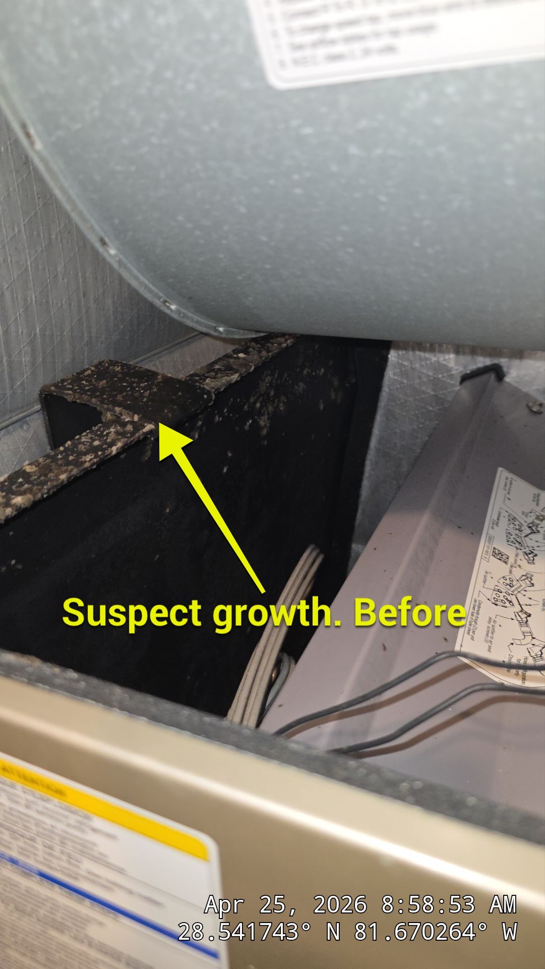 Air Duct Cleaning in Clermont by Hygienic Air, Inc