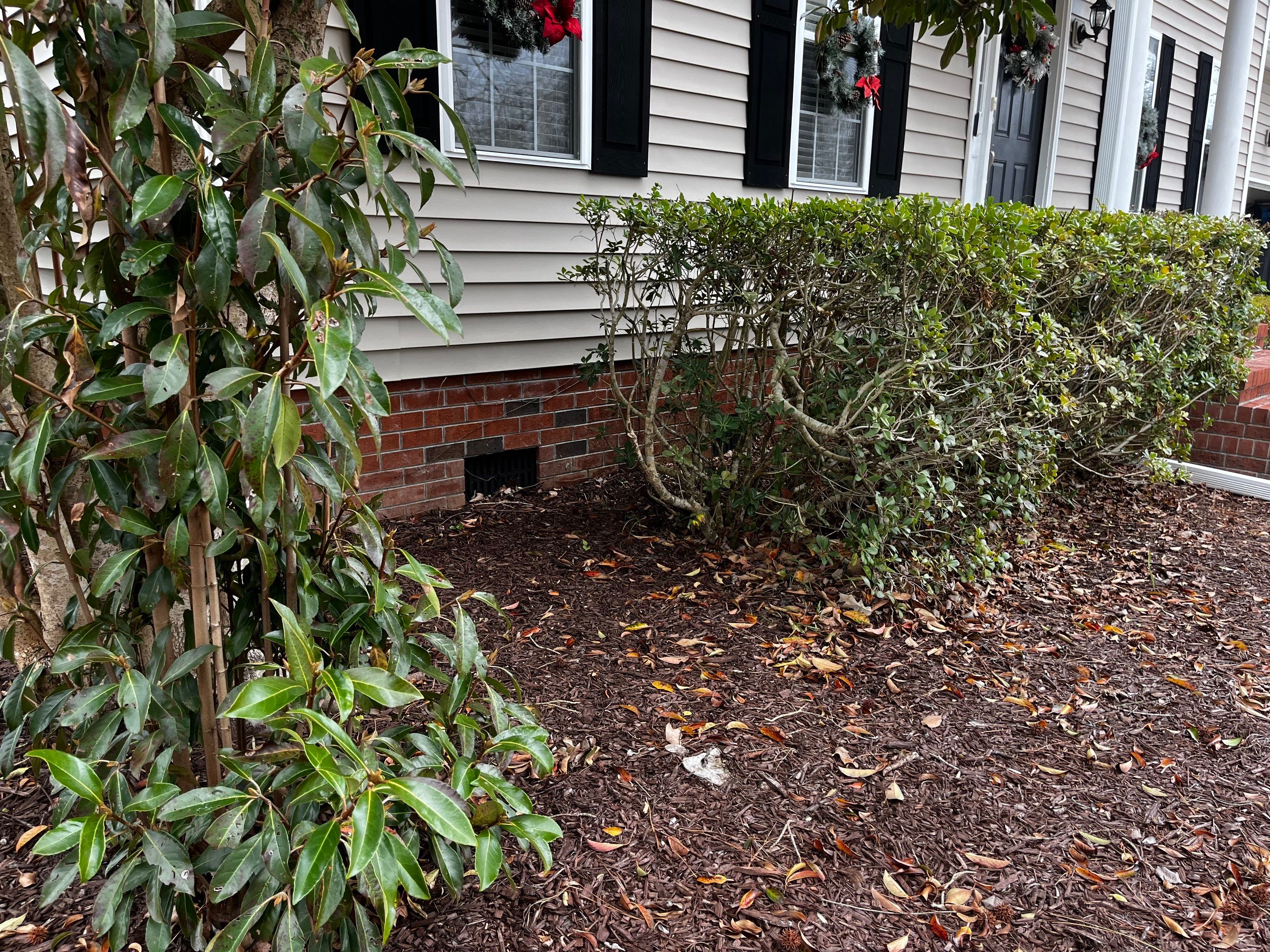 Impact Choice Encapsulation with French Drain and Crawlspace Doors by Impact Crawlspace