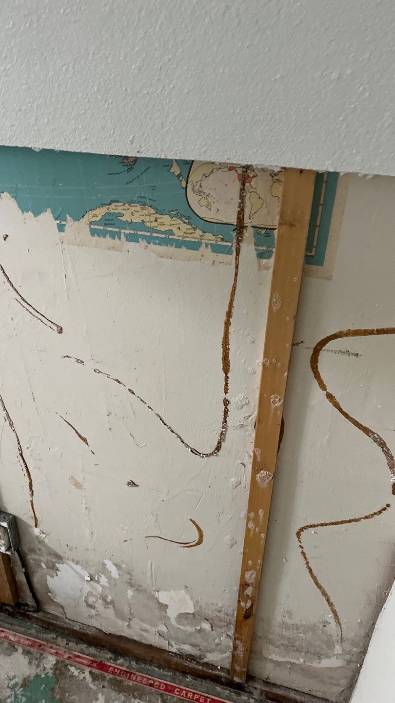 Mold Remediation by Accountable Home Services