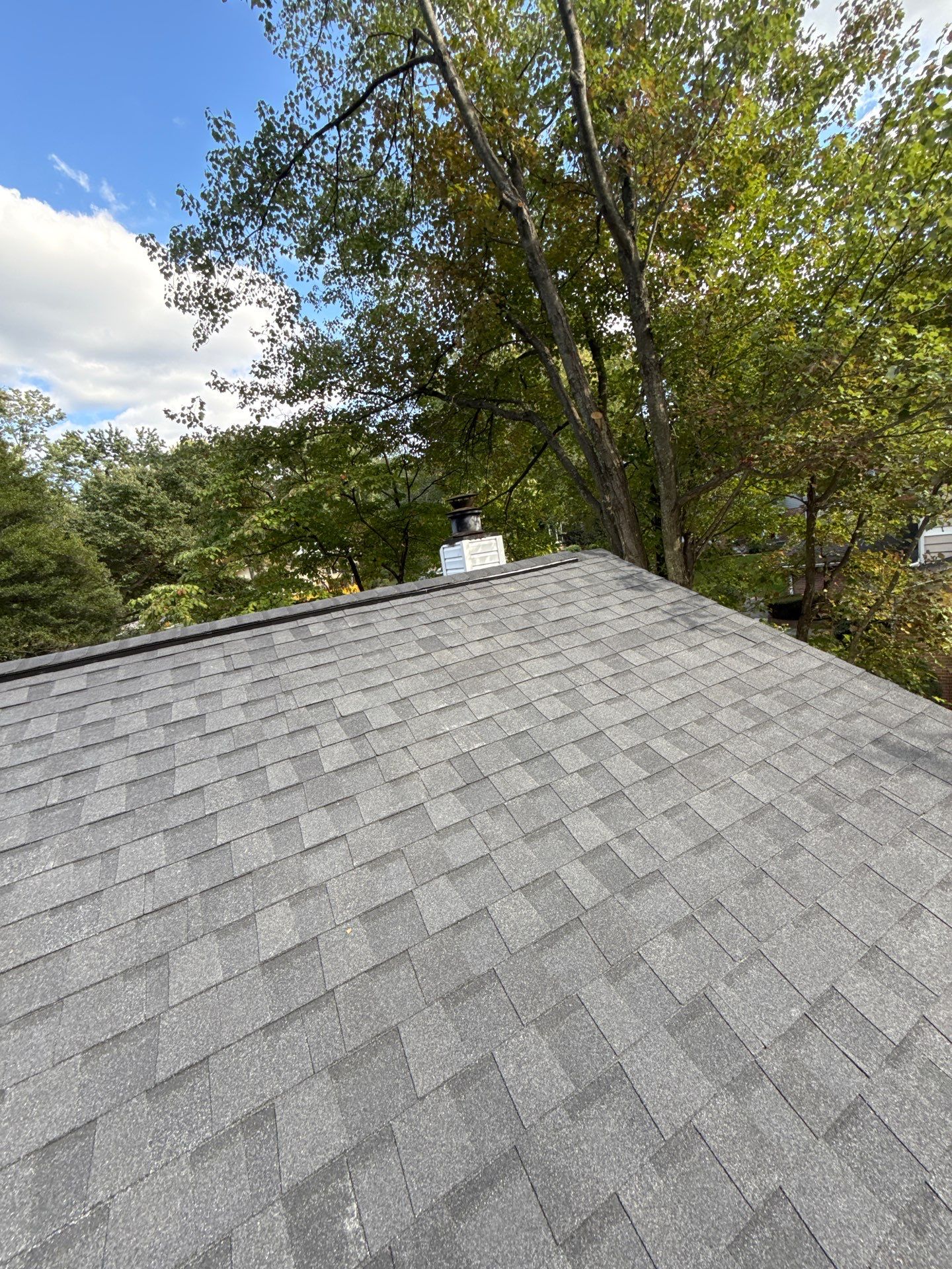 Falls Church: Residential Roof Replacement with CertainTeed Landmark in Moire Black  by RM Banning, Inc.