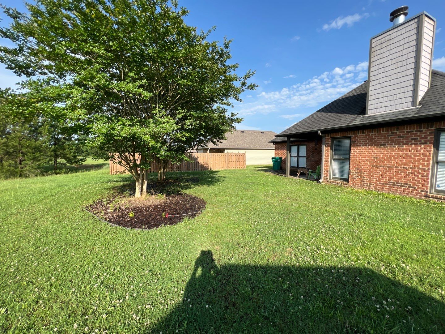 Downing Park - Paint by Pillar and Pine