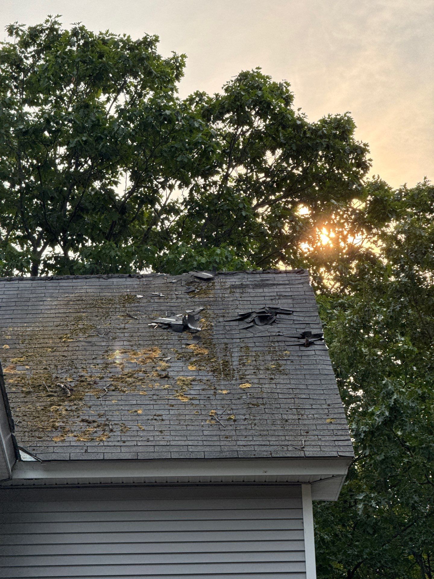 Roof Replacement and Chimney Repair in Fitchburg, MA by Mighty Dog Roofing of Greater Middlesex County